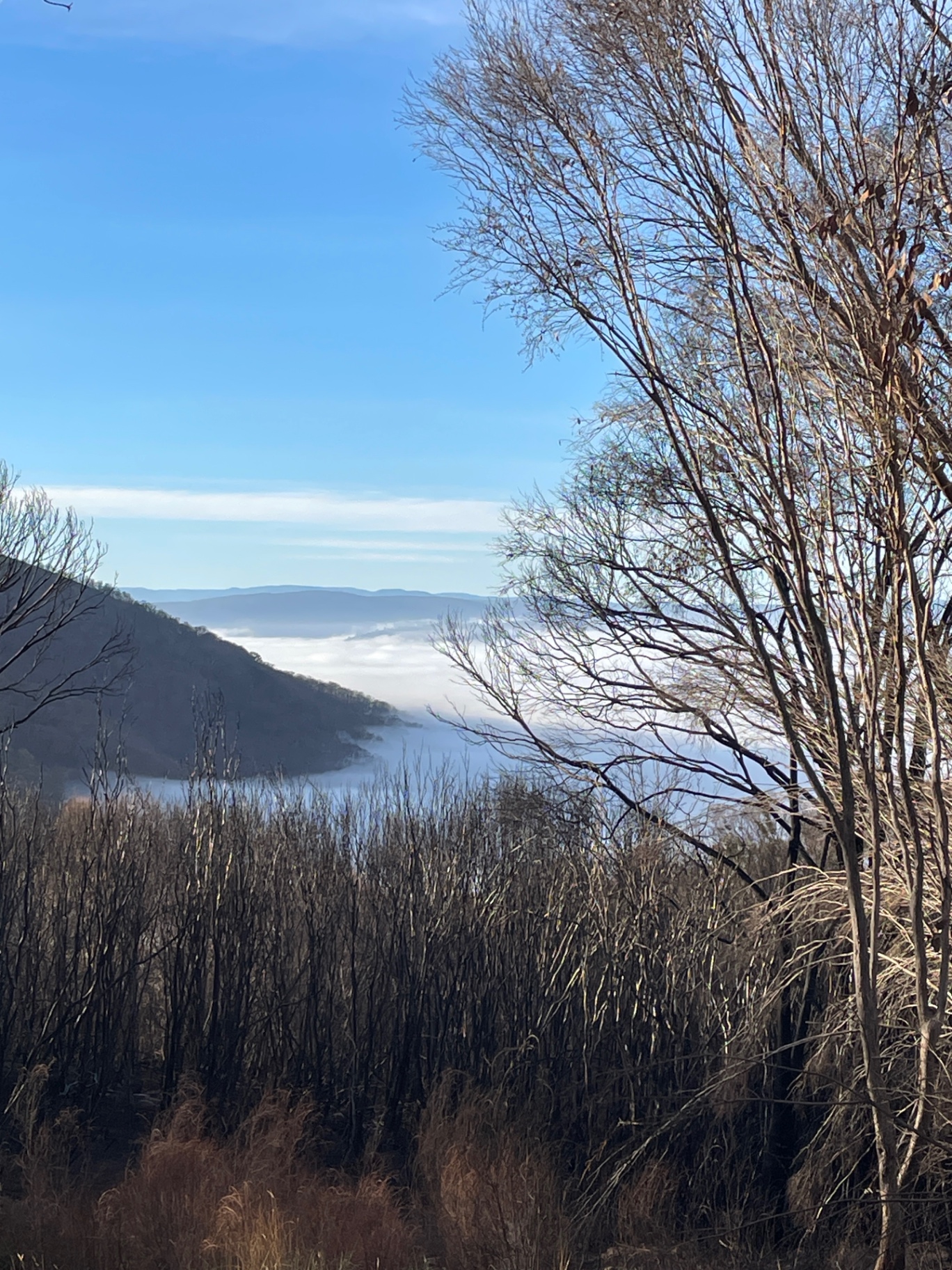 Burnt bushland on a ridge above a valley filled with cloud